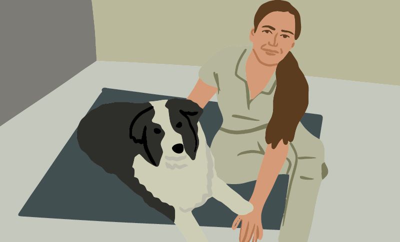 Tierphysiotherapeut Umschulung